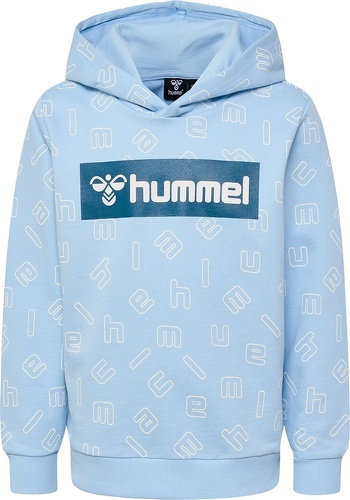 HUMMEL-HMLFLOW HOODIE-2