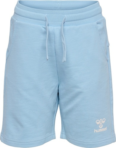 HUMMEL-HMLFLOW SHORTS-2