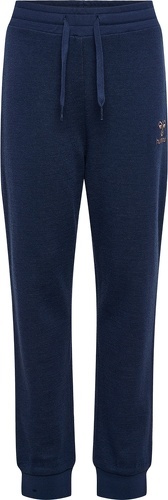 HUMMEL-HMLWONG PANTS-2