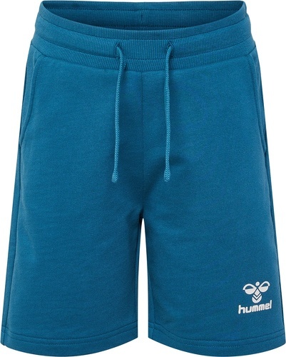 HUMMEL-HMLFLOW SHORTS-2