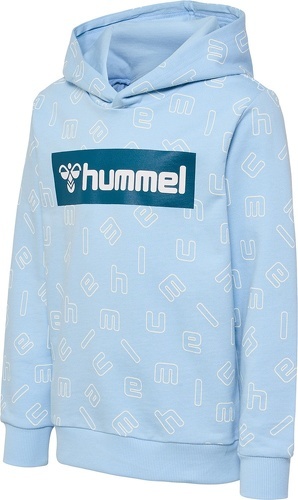 HUMMEL-HMLFLOW HOODIE-0