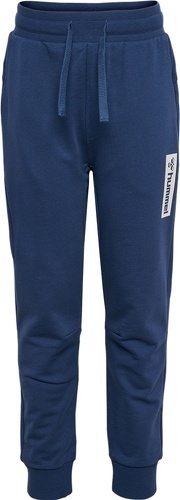 HUMMEL-HMLFLOW PANTS-2