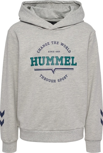 HUMMEL-HMLASHER HOODIE-2