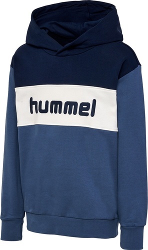 HUMMEL-HMLMORTEN HOODIE-image-1