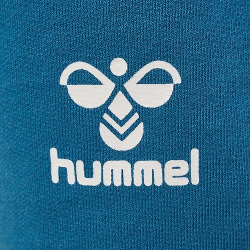 HUMMEL-HMLFLOW SHORTS-3