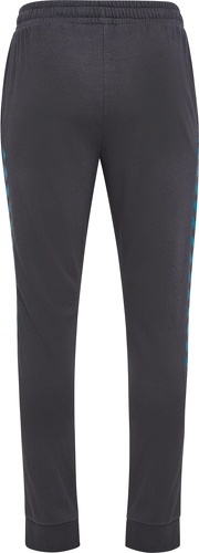 HUMMEL-hmlSTALTIC COTTON PANTS-1