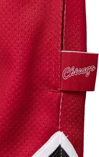 Mitchell & Ness-Short Chicago Bulls NBA Blown Out Fashion-2