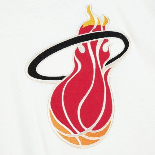 Mitchell & Ness-T-shirt Miami Heat NBA Color Blocked-1