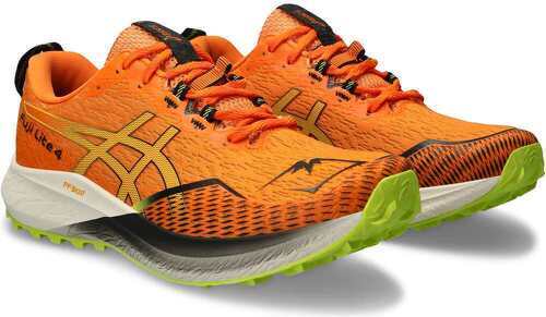 ASICS-Fuji Lite 4-2