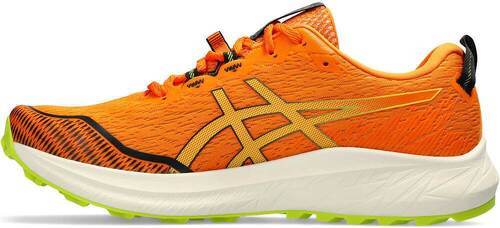 ASICS-Fuji Lite 4-1