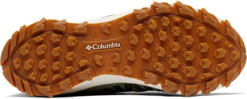 Columbia-Peakfreak 2 Outdry-4