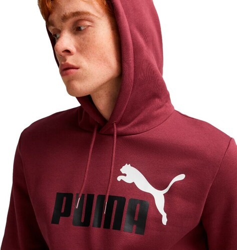 PUMA-Puma Essentials+ 2 Col Big Logo-2