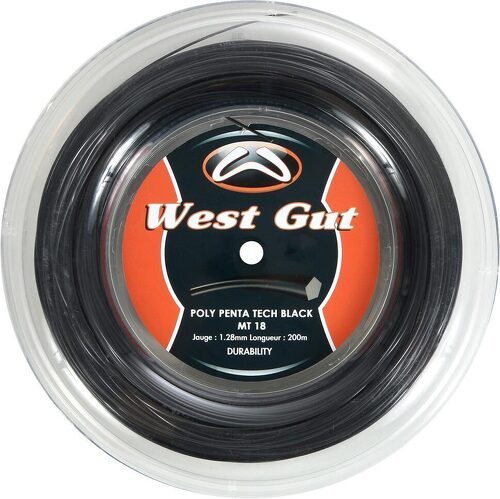 WEST GUT-Bobine West Gut Poly Penta Black MT18 200m-image-1
