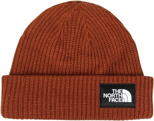 THE NORTH FACE-The North Face Salty Lined Beanie-image-1