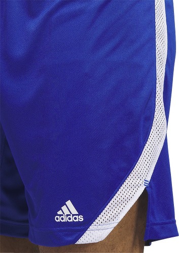 adidas Performance-Short Icon Squad-4