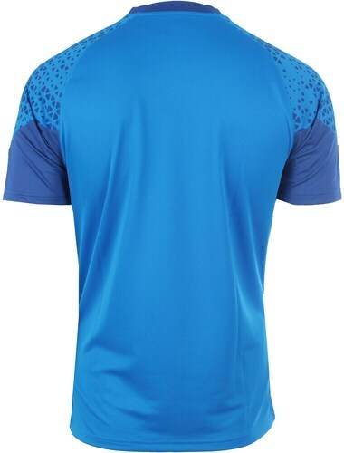 PUMA-ALAVES 24  Training Jersey-1