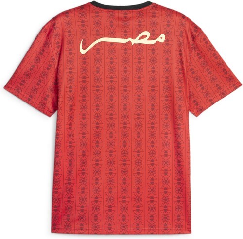 PUMA-Maillot Égypte FtblCulture-1