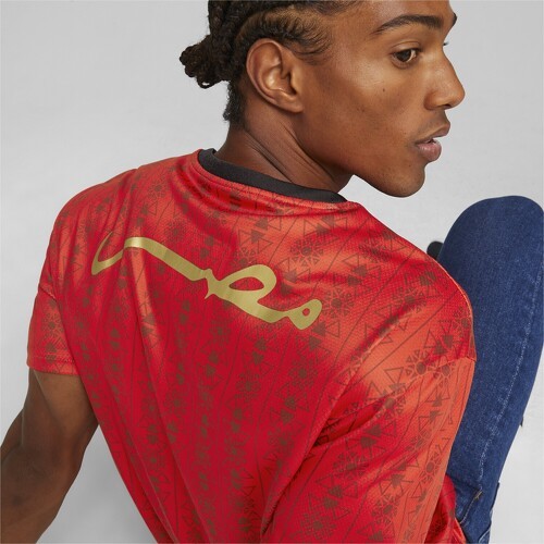 PUMA-Maillot Égypte FtblCulture-3
