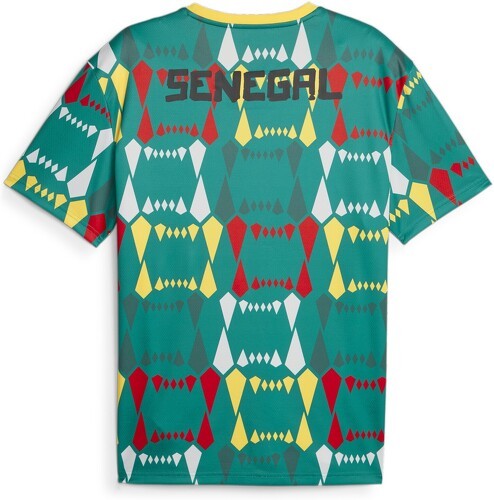 PUMA-Maglia Senegal Ftlblculture-1