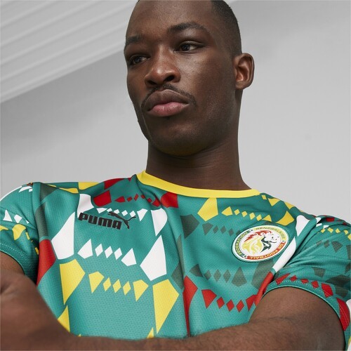 PUMA-Maglia Senegal Ftlblculture-4