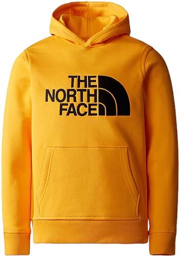THE NORTH FACE-Sudadera The North Face B Drew Peak P/O Hoo Junior-image-1