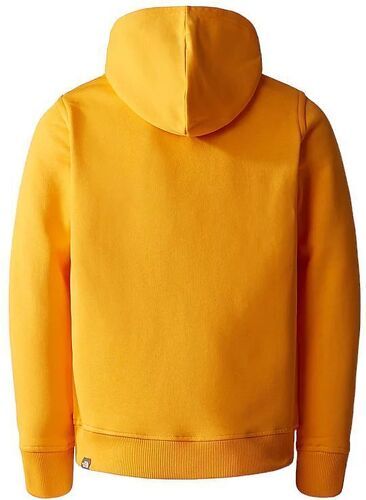 THE NORTH FACE-Pull Drew Peak Hoodie Summit Gold-1