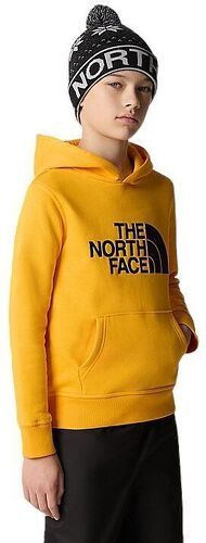 THE NORTH FACE-Pull Drew Peak Hoodie Summit Gold-3