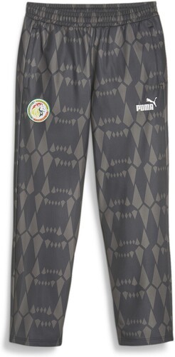 PUMA-Sénégal Jogging de foot Noir/Gris Homme Puma 2023/24-image-1