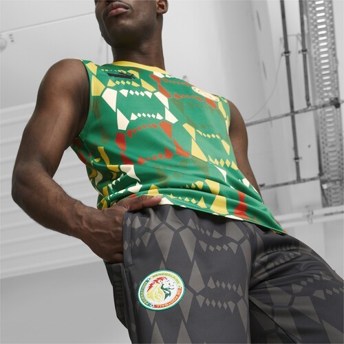 PUMA-Pantalon de survêtement Sénégal FtblCulture-4