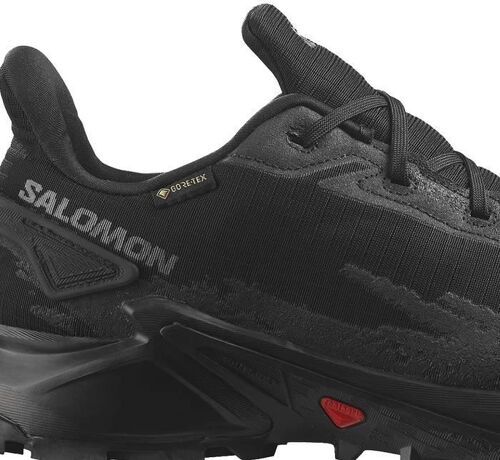 SALOMON-Alphacross 4 Gore-Tex-2