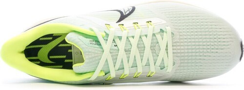 NIKE-Pegasus 39-4