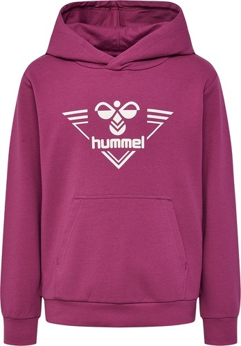 HUMMEL-HMLGAIL HOODIE-2