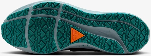 NIKE-Air Zoom Pegasus 39 Shield-2