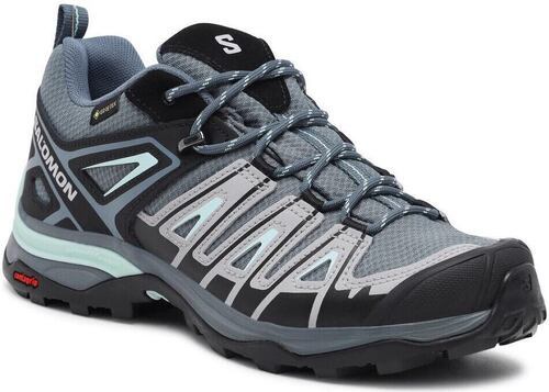 SALOMON-X Ultra Pioneer Gore-Tex-2