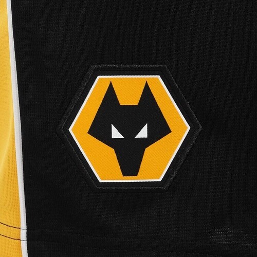 Castore-Castore Wolverhampton Wanderers Home 2023/2024-2