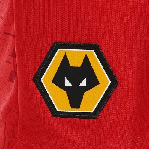 Castore-Castore Wolverhampton Wanderers Away 2023/2024-2