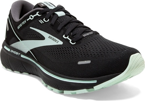 Brooks-Ghost 14 Gore-Tex-1