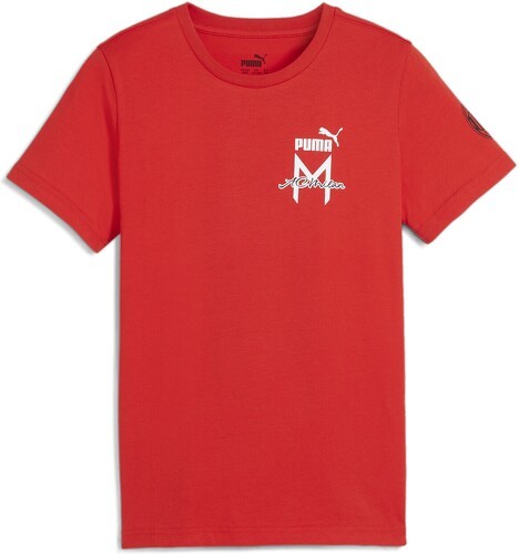 PUMA-AC Milan ftblICONS t-shirt-image-1
