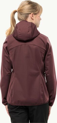 Jack wolfskin-Veste imperméable à capuche grande taille femme Jack Wolfskin Windhain-1