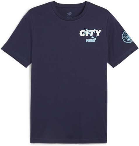 PUMA-Manchester City FtblICONS t-shirt-image-1