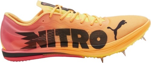 PUMA-evoSPEED Long Distance NITRO Elite 2-2