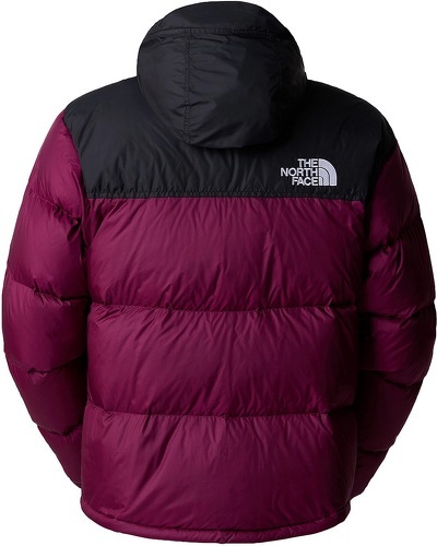 Manteaux et vestes homme The north face m new combal down jkt noir