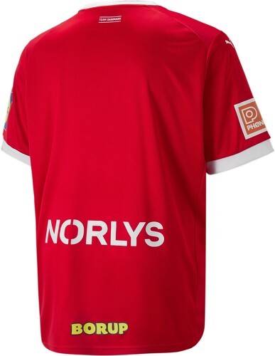 PUMA-Maillot de handball Home 2024 Danemark-1