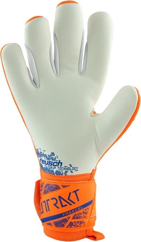 REUSCH-Attrakt Freegel Silver TW-Handschuhe-2