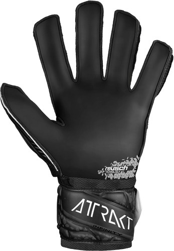 REUSCH-Attrakt Infinity TW-Handschuhe-2