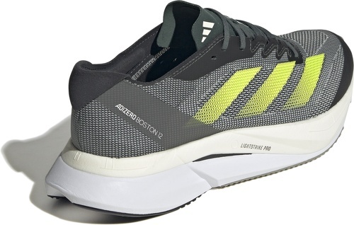 adidas Performance-Adizero Boston 12-2