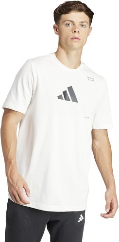 adidas Performance-T-shirt adidas All Gym Category Graphic-1