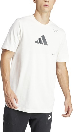 adidas Performance-T-shirt adidas All Gym Category Graphic-2