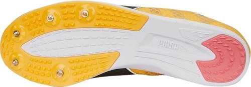 PUMA-EvoSpeed Distance 11-1