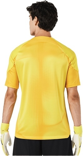 NIKE-Maillot de gardien de but Nike Gardien IV jaune/or-2